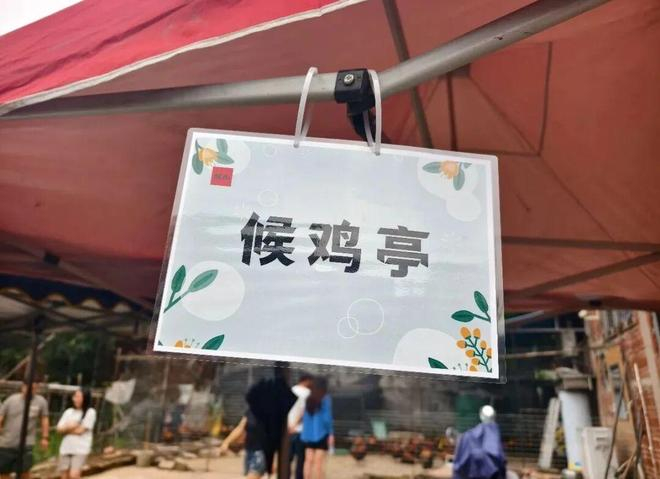 莫氏鸡煲“候鸡亭”的名字让人会心一笑。图源网络