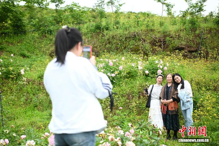 图为游客在花丛中拍照打卡。张旭 摄