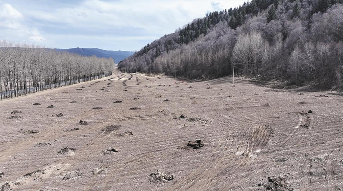 向化乡流水口村绿色种养循环试点基地。谭梅 摄