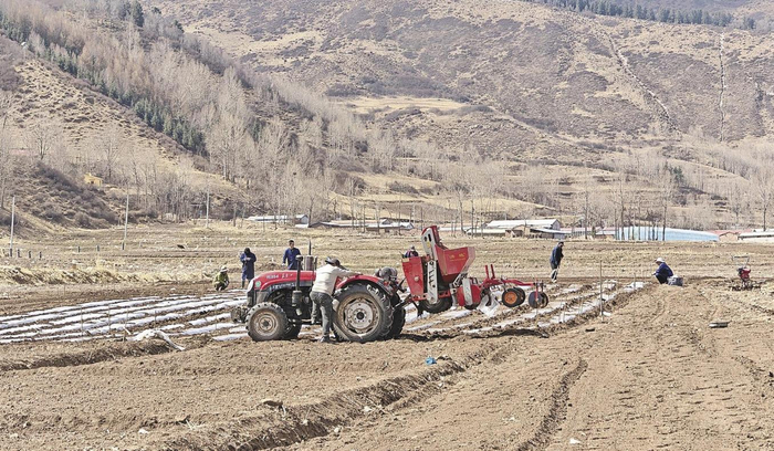 向化乡流水口村的种植试验基地。谭梅 摄