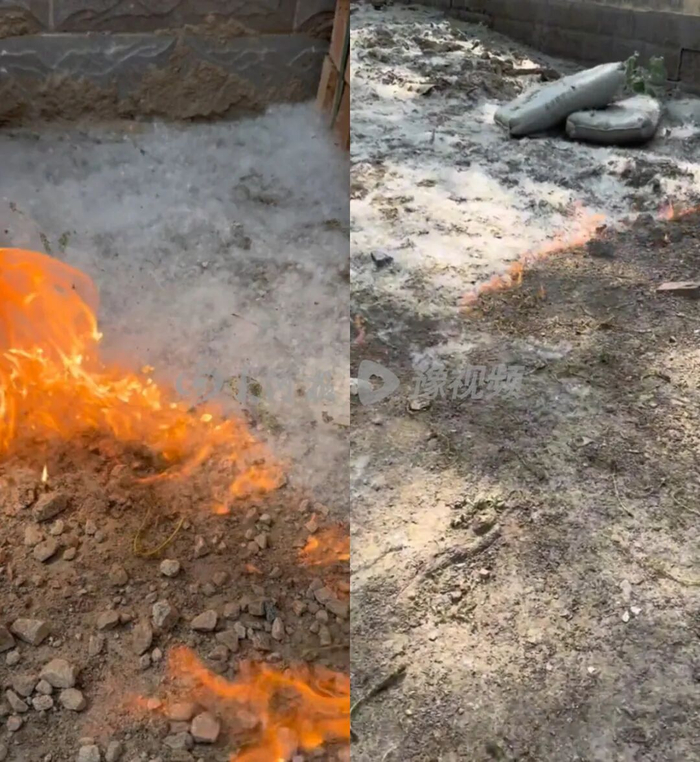 消防员实测杨絮点燃的速度（图源：消防科普视频截图）
