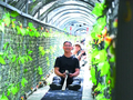 从打卡式观光到沉浸式体验——石家庄市赞皇县探索“情绪文旅”发展新模式