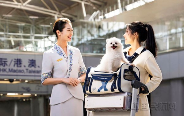 海南航空提供“宠物进客舱服务”