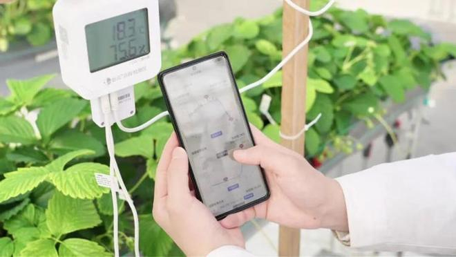 图源 太仓发布
