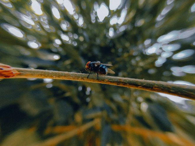 （来源：Unsplash）