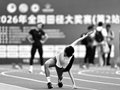 众星云集！ 家门口看顶级赛事