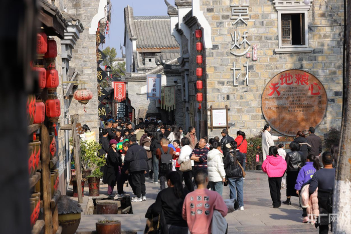 莫愁村游人如织（央广网发  莫愁村景区供图）