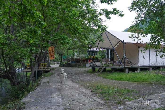 升级改造后的清平乐露营基地（央广网记者邓子依  摄）