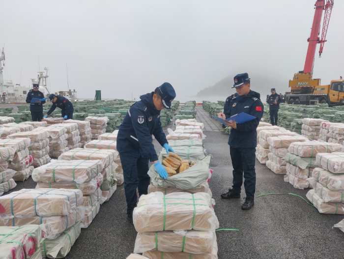 广西海警局查获的走私冻品。（广西海警局供图）