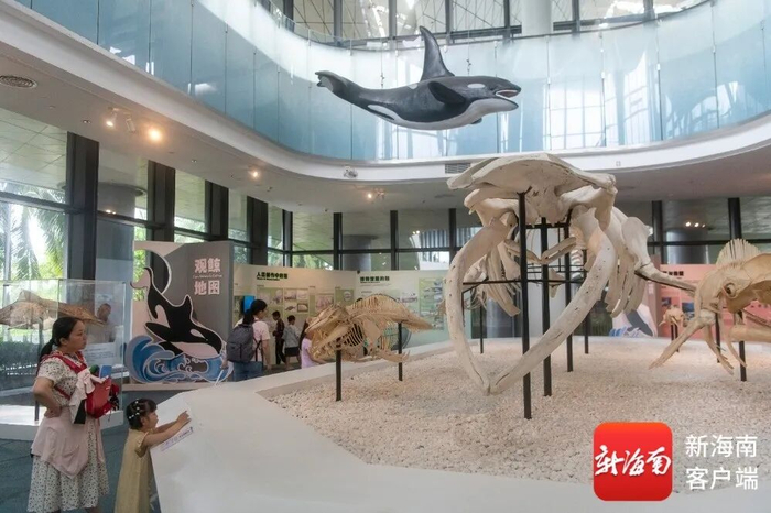 游客打卡中国（海南）南海博物馆。受访者供图