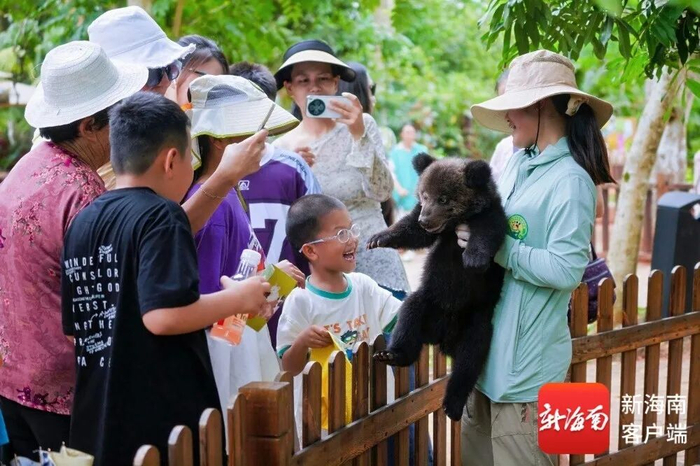 游客打卡海南热带野生动植物园。受访者供图