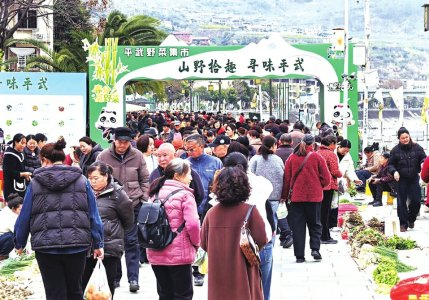 　　绵阳平武县推出野菜集市，供游客“体验式消费”。平武县委宣传部供图