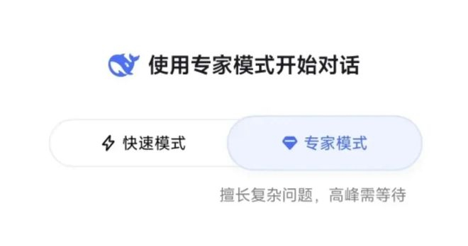 DeepSeek页面截图