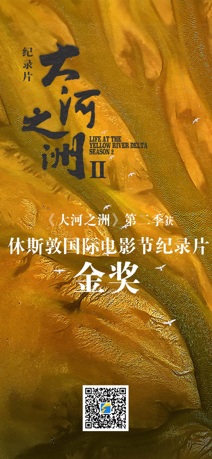来源：闪电新闻编辑：朱俊杰责编：刘皓天审校：李沐言主编：李翔睿