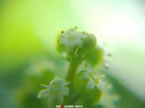 “欣”动时刻定格｜蒋欣生日特别企划，解锁松典影像美学