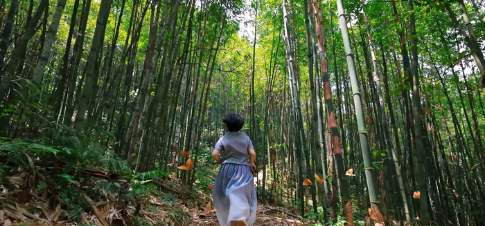 红河州融媒体中心 卢秀丽 陈俊宇 刘聪 陈倩 摄
