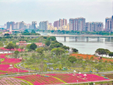 画里有话 | 扮靓城市要下好“绣花功夫”