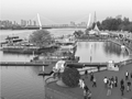 点亮夜经济 消费不打烊