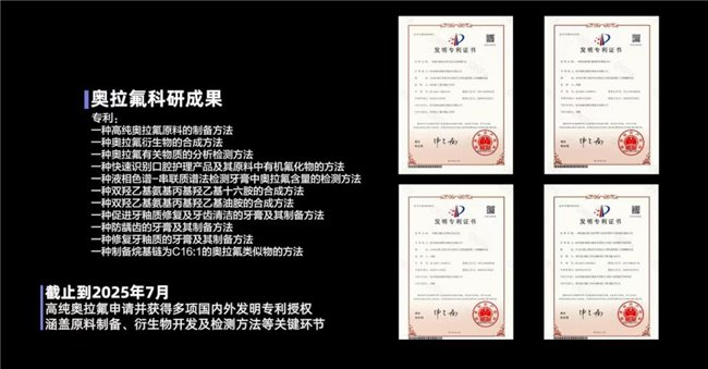 图1：高纯奥拉氟的专利矩阵