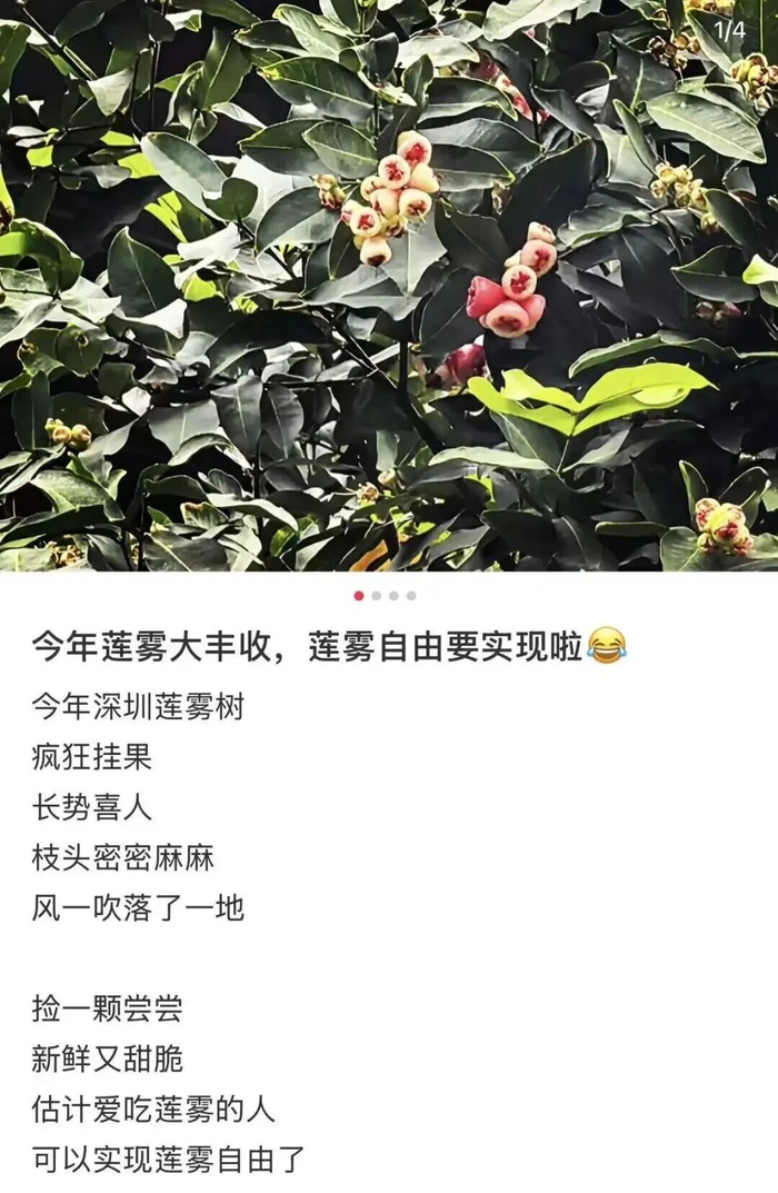 图源：小红书网友@宁宁生活记趣