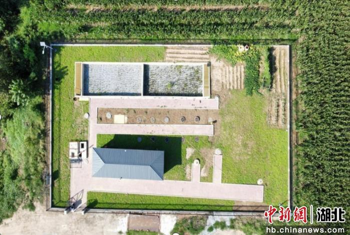 雄安新区容城县分布式光伏。三峡集团 供图