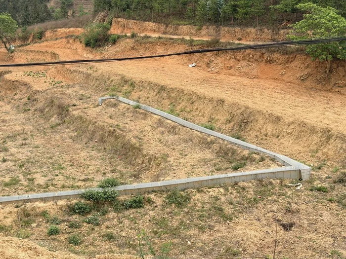沟渠周边田地未种植水稻