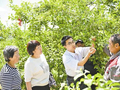 青年志愿者科技兴农进山区