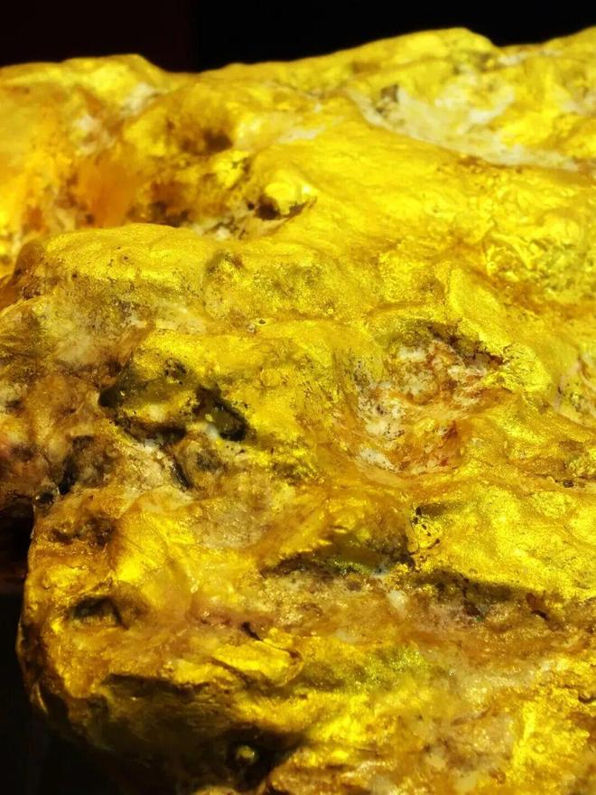 狗头金的外表具有明亮的金黄色丨作者拍摄