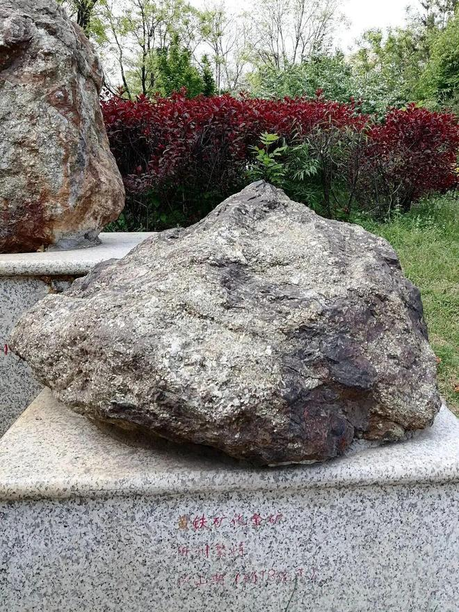 黄铁矿化金矿石，产于山西忻州繁峙县丨作者拍摄