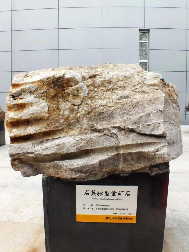 石英脉型金矿石，产于河南省灵宝市丨作者拍摄