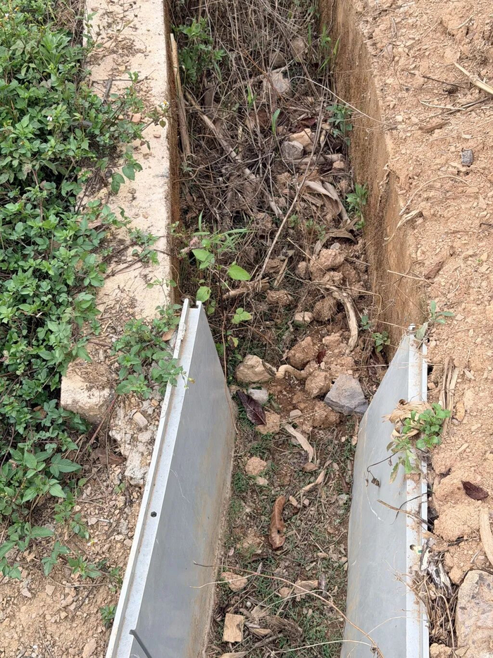 沟渠中淤积泥土，已长出小草