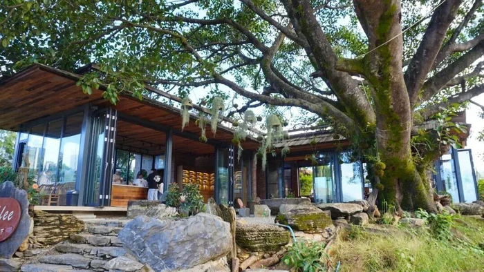 保山市咖啡庄园。李建国 杨艳鹏 摄