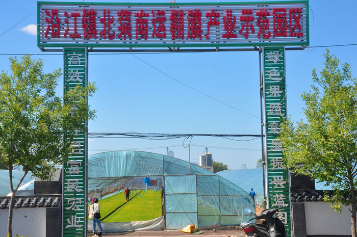沿江镇蔬菜产业园区，一园两用（央广网发  姜涛  摄）