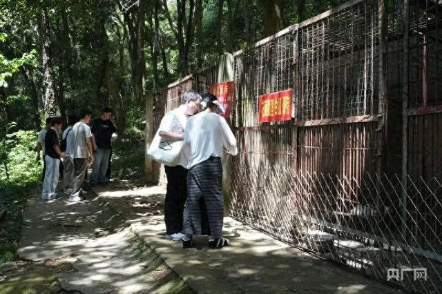 游客在香吾山动物园参观游览（央广网记者邓子依 摄）