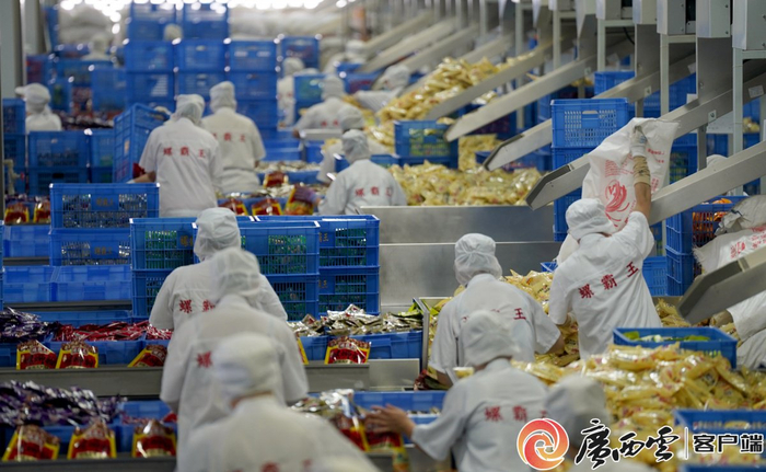 图为柳州螺蛳粉产业园里，螺蛳粉工厂生产线上一派忙碌景象。唐绍怡 摄