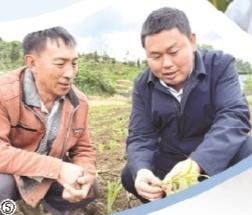 孟凡进（右）指导农户移栽高粱。贵州日报天眼新闻记者 陈颖 摄