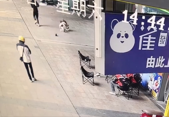 视频截图