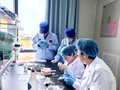 天舟十号为何带着斑马鱼胚胎细胞上太空 专家解读