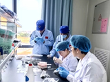 天舟十号为何带着斑马鱼胚胎细胞上太空 专家解读