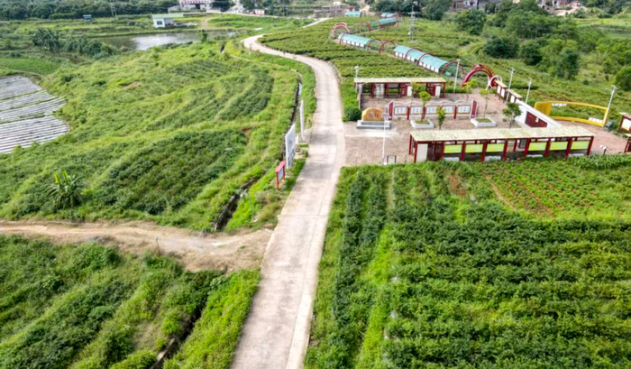 种植基地