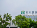 老板猝死，豪门内斗！百亿帝国彻底易主