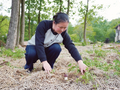 地方动态 | 淮南八公山区：赤松茸成为林下经济特色品牌