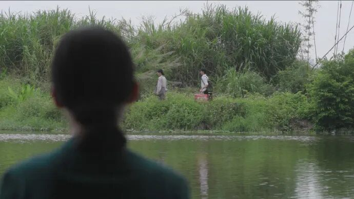 其实南枝回过中国