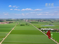 山东广饶：“一喷三防”助力夏粮丰产丰收