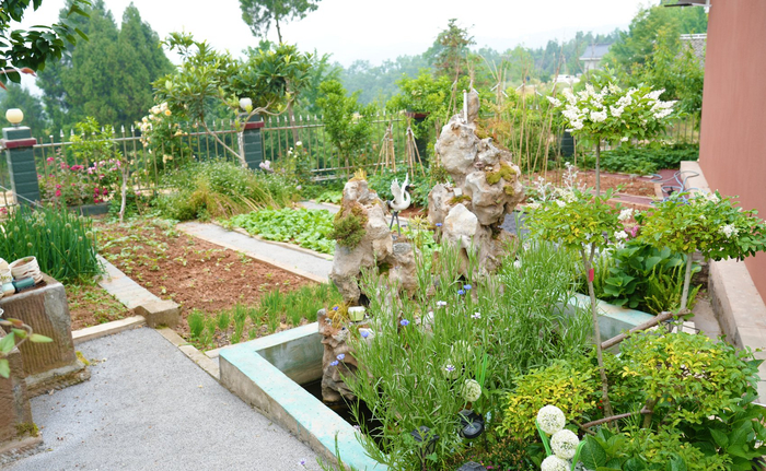 乡村老中医高春山家的庭院一角。袁茹莉 摄