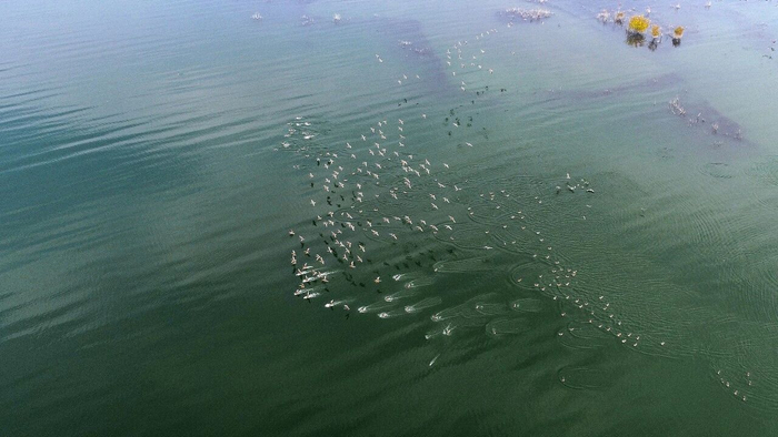 图为丹江湿地。南阳市委宣传部 供图