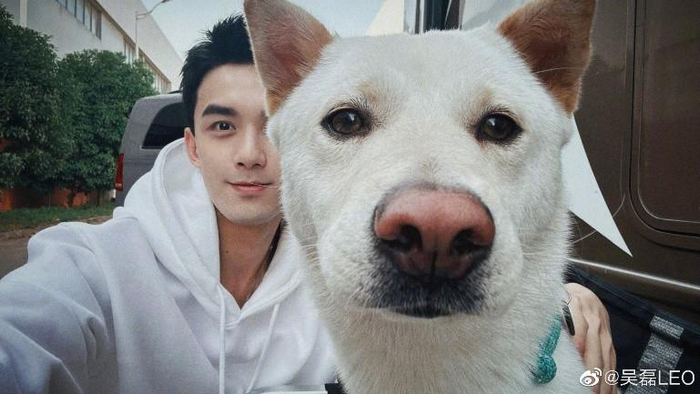 图：吴磊与爱犬“小北”