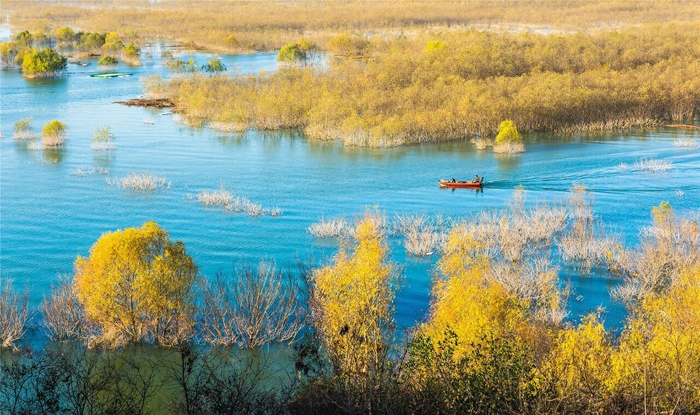 图为丹江口水库湿地保护区。南阳市委宣传部 供图