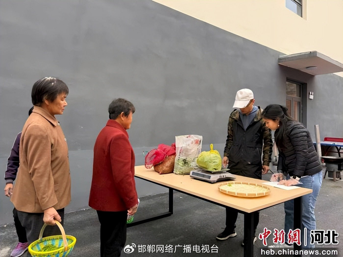 图为工作人员收购酸枣芽。 田京伟 摄
