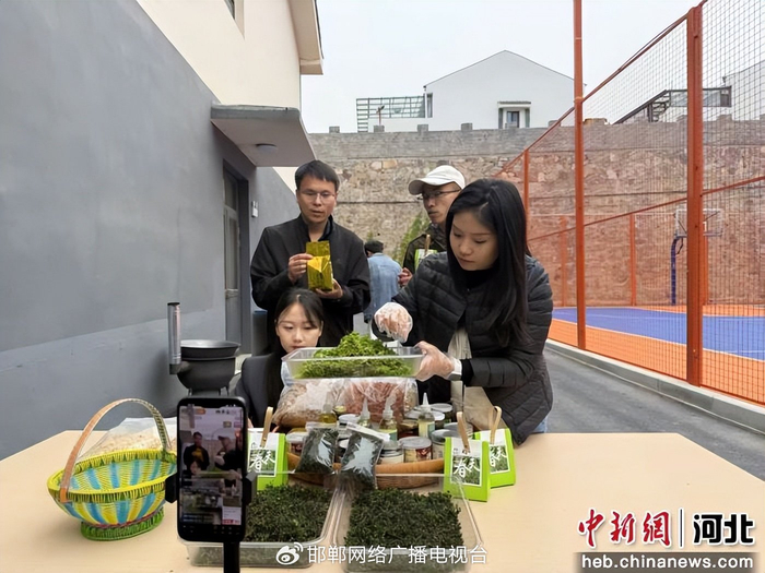 图为助农主播和返乡大学生直播售卖酸枣芽茶和各种农特产品。 田京伟 摄